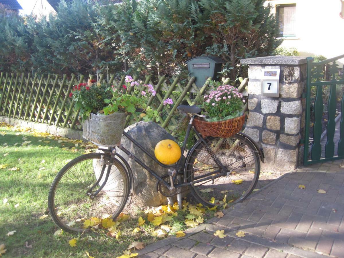 Pension Zum weißen Hirsch Reitwein Exterior foto