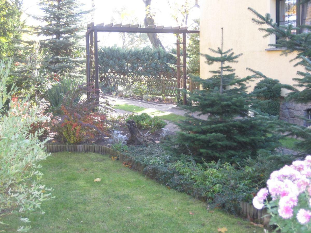 Pension Zum weißen Hirsch Reitwein Exterior foto