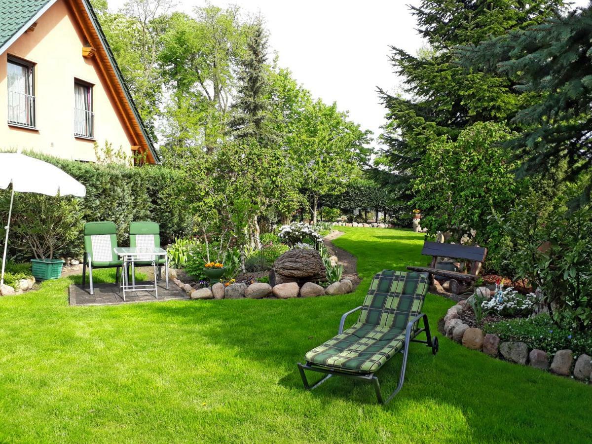Pension Zum weißen Hirsch Reitwein Exterior foto