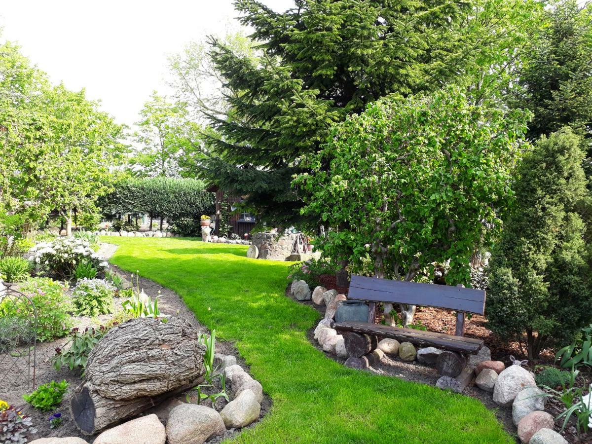 Pension Zum weißen Hirsch Reitwein Exterior foto