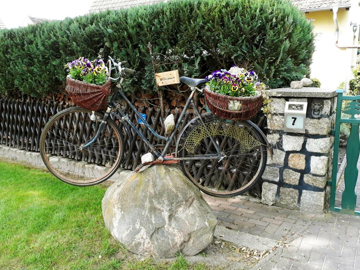 Pension Zum weißen Hirsch Reitwein Exterior foto